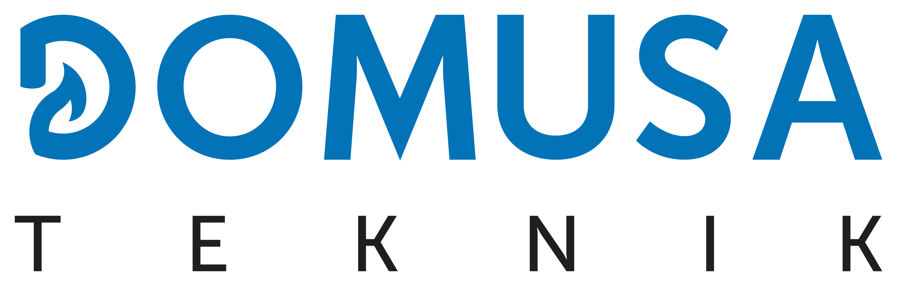 logo domusa